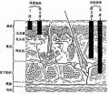 2014年1月18日 (六) 13:03的版本的缩略图