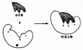 2014年1月18日 (六) 14:03的版本的缩略图