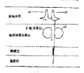 2014年1月18日 (六) 12:16的版本的缩略图