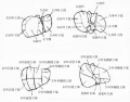 2014年1月18日 (六) 13:11的版本的缩略图