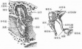 2014年1月18日 (六) 18:09的版本的缩略图