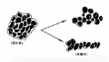 2014年1月18日 (六) 11:58的版本的缩略图