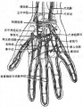 2014年1月18日 (六) 17:32的版本的缩略图