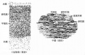 2014年1月18日 (六) 13:18的版本的缩略图