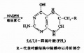 2014年1月18日 (六) 17:29的版本的缩略图
