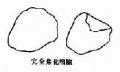 2014年1月18日 (六) 14:55的版本的缩略图