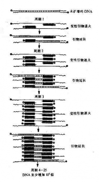 文件:Grart03n.jpg