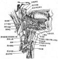 2014年1月18日 (六) 11:09的版本的缩略图