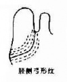 2014年1月18日 (六) 17:10的版本的缩略图
