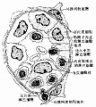 2014年1月18日 (六) 13:15的版本的缩略图